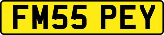 FM55PEY