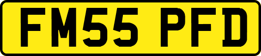 FM55PFD