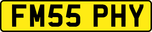 FM55PHY