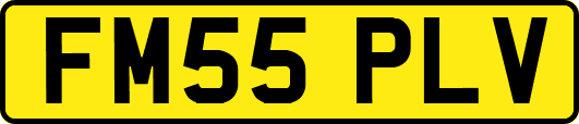 FM55PLV