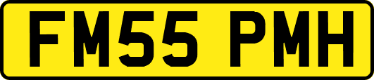 FM55PMH