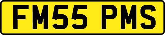 FM55PMS