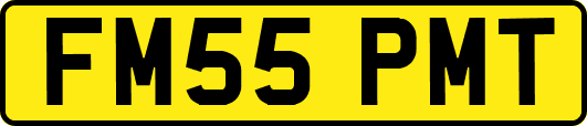 FM55PMT