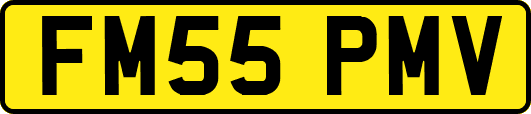 FM55PMV