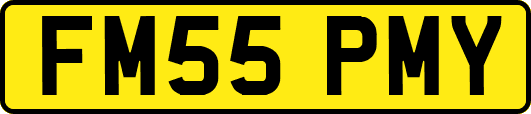 FM55PMY