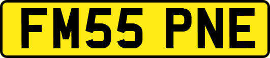 FM55PNE