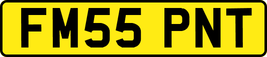 FM55PNT