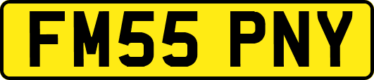 FM55PNY
