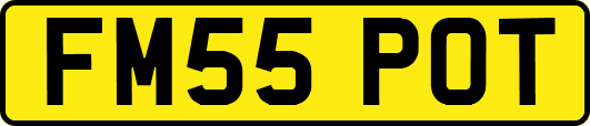 FM55POT