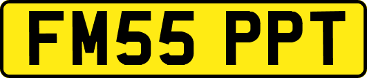 FM55PPT