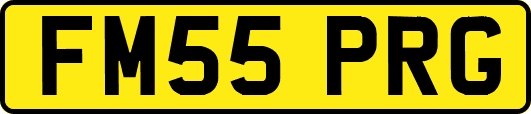 FM55PRG