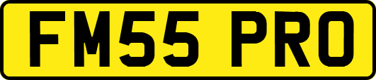 FM55PRO