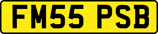 FM55PSB