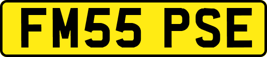 FM55PSE