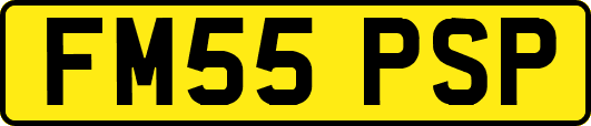 FM55PSP