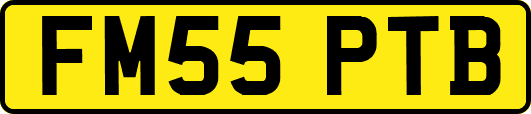 FM55PTB