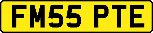 FM55PTE