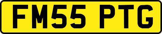 FM55PTG