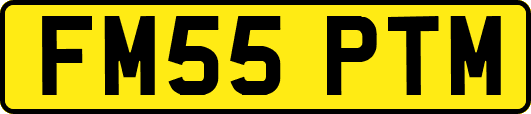 FM55PTM