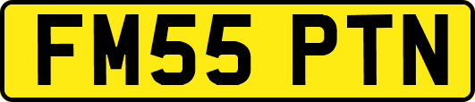 FM55PTN