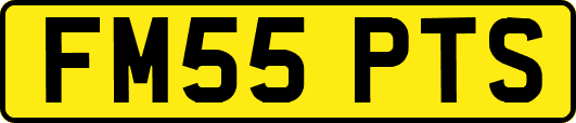 FM55PTS