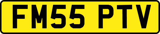 FM55PTV