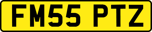 FM55PTZ