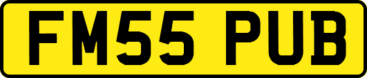 FM55PUB