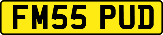 FM55PUD