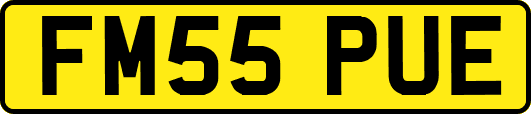 FM55PUE