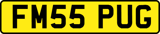 FM55PUG