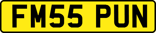 FM55PUN