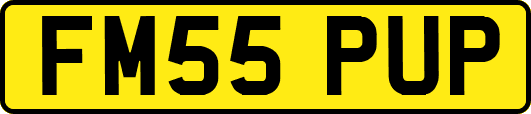 FM55PUP