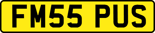 FM55PUS