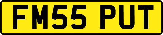 FM55PUT