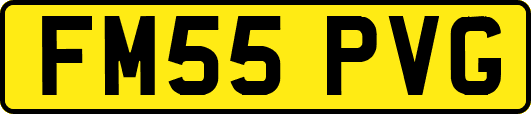 FM55PVG