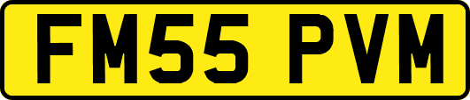 FM55PVM
