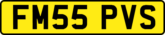 FM55PVS