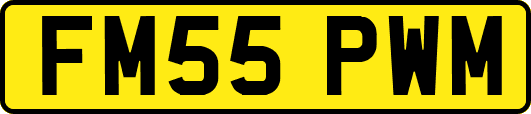 FM55PWM