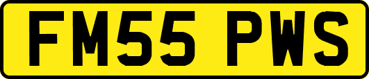 FM55PWS
