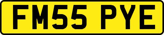 FM55PYE