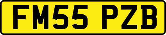 FM55PZB