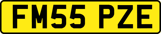 FM55PZE