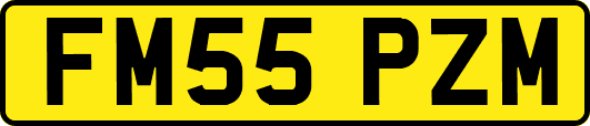 FM55PZM