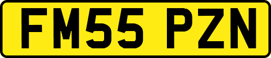 FM55PZN