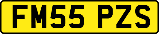 FM55PZS