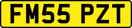 FM55PZT