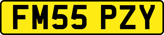 FM55PZY