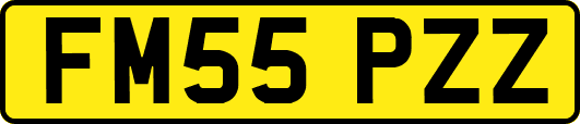 FM55PZZ