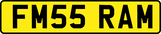 FM55RAM